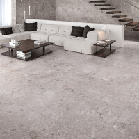 ARTIC GRIS NATURAL 80X160