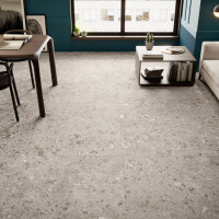 BIERZO GRIS SEDA 120X120