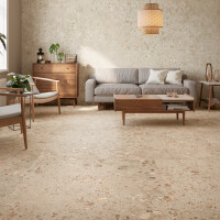 BIERZO MARFIL SEDA 60X120