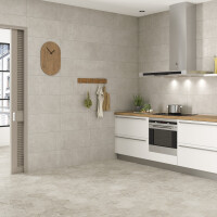 BRERA GRIS NATURAL 30X60