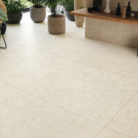 FOSIL BONE NATURAL 80X80