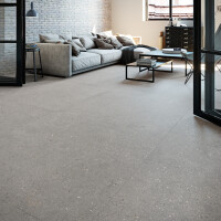MITICA GRIS NATURAL 120X120