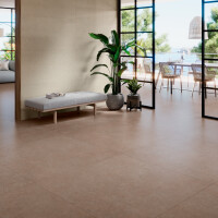 PANGEA TIERRA NATURAL 120X120