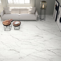 VOLTERRA BLANCO NATURAL 60X120
