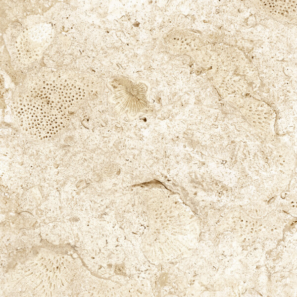 CORALINA BLANCO ANTISLIP 30X60