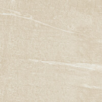 VOLGA ARENA NATURAL 60X60