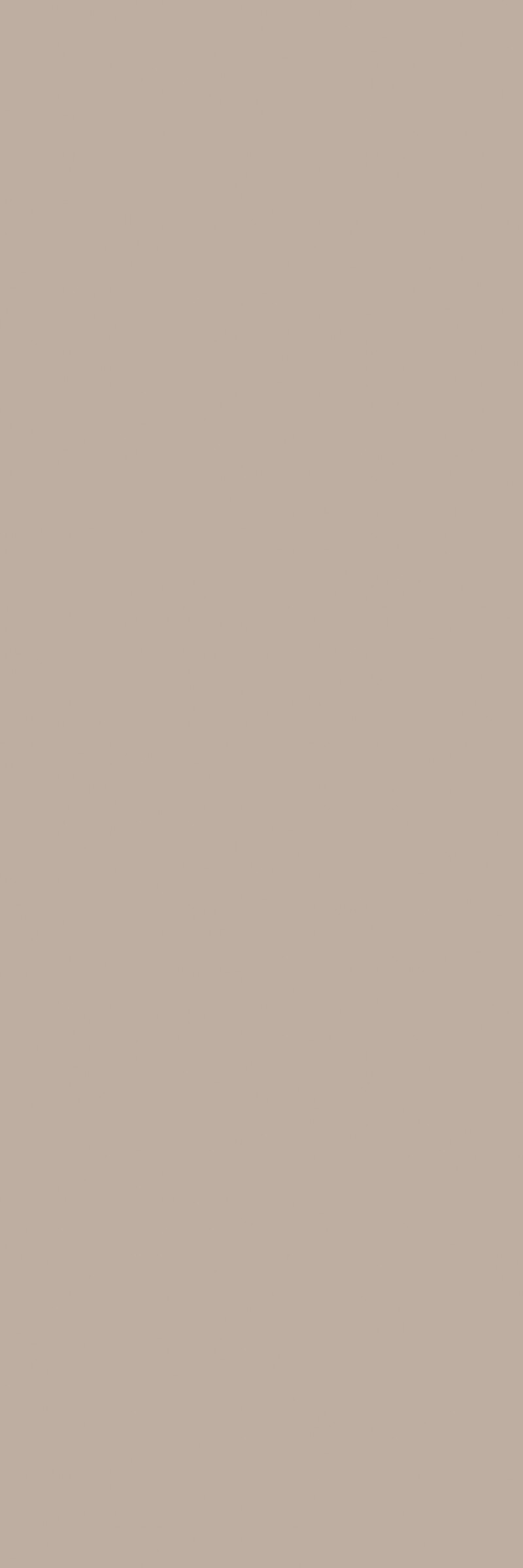 BASIC TAUPE NATURAL 100X300
