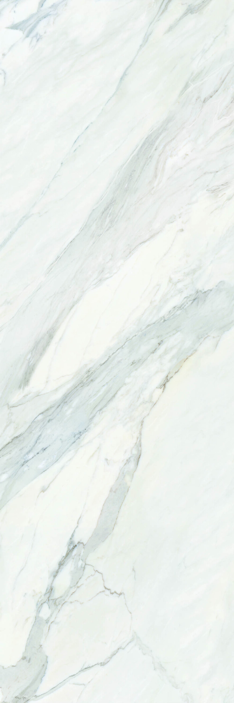 CALACATA  PULIDO 120X278