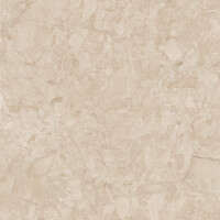 ARACRUZ BEIGE NATURAL 120X120