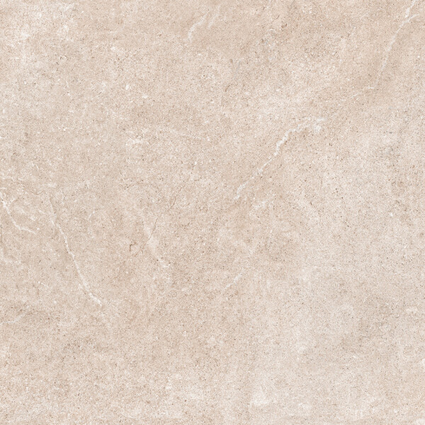 ARLES ARENA ANTISLIP 60X120
