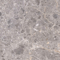ARTIC GRIS NATURAL 30X30