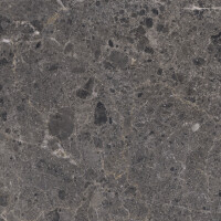 ARTIC ANTRACITA PULIDO 59X119
