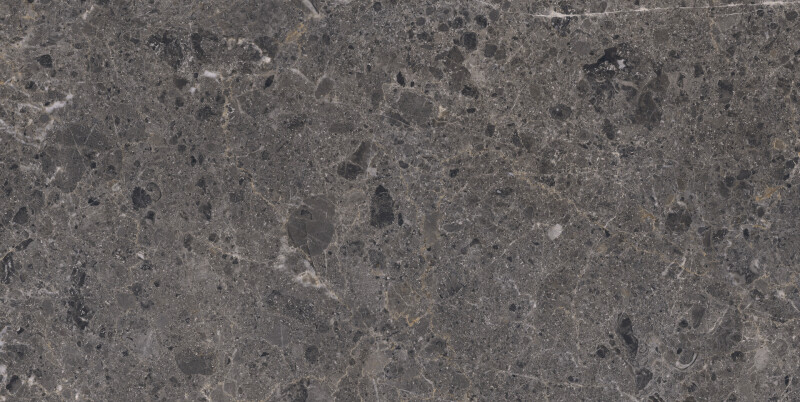 ARTIC ANTRACITA NATURAL 60X120