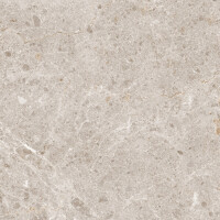 ARTIC BEIGE PULIDO 59X119