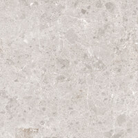 ARTIC BLANCO PULIDO 59X119