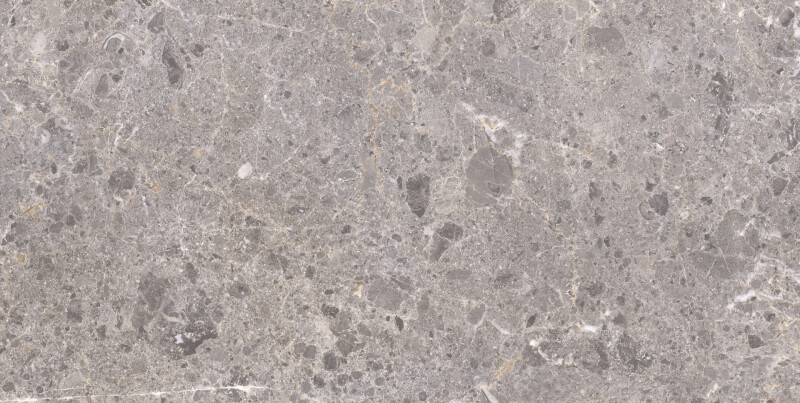 ARTIC GRIS PULIDO 59X119