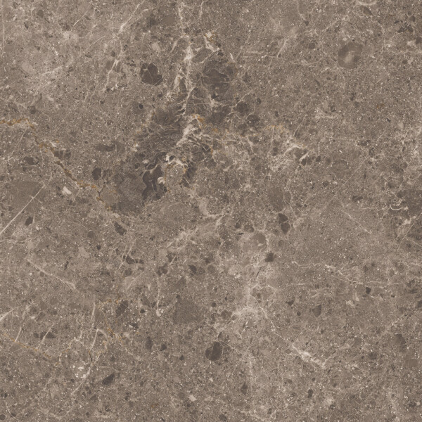 ARTIC MOKA PULIDO 59X119