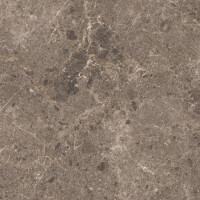ARTIC MOKA PULIDO 59X119
