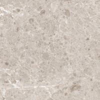 ARTIC BEIGE PULIDO 59X59
