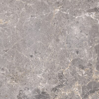 ARTIC GRIS PULIDO 59X59