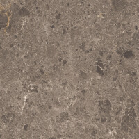 ARTIC MOKA PULIDO 59X59