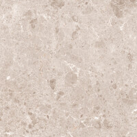 ARTIC BEIGE NATURAL 80X160
