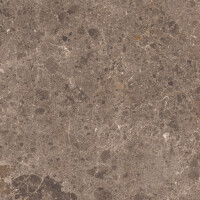 ARTIC MOKA PULIDO 78X158