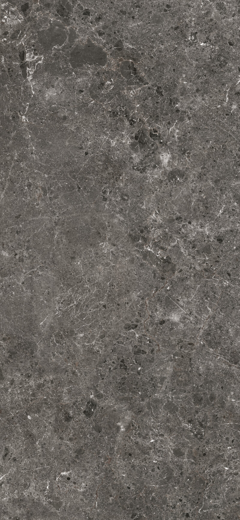 ARTIC ANTRACITA PULIDO 120X260