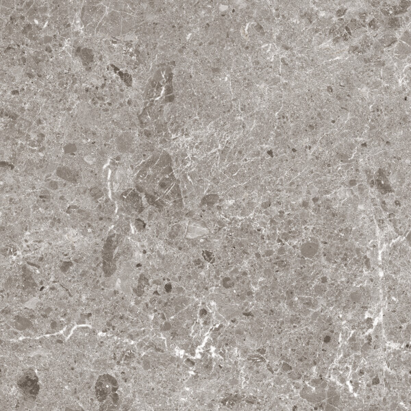 ARTIC GRIS PULIDO 120X120