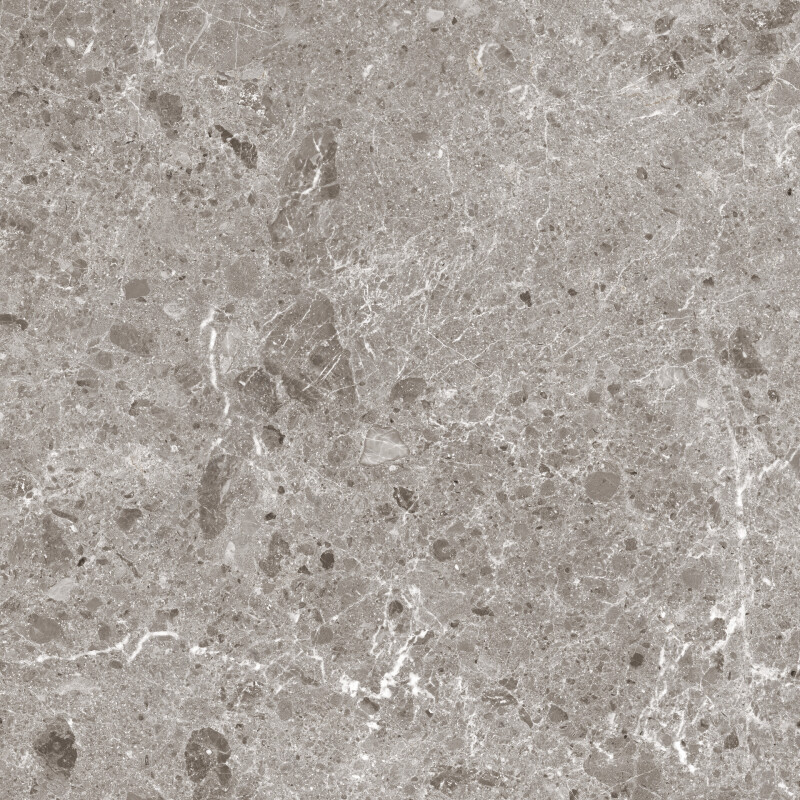 ARTIC GRIS PULIDO 120X120
