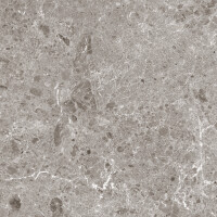 ARTIC GRIS PULIDO 120X120