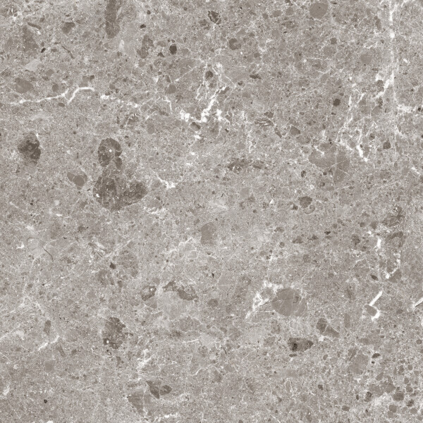 ARTIC GRIS PULIDO 120X260