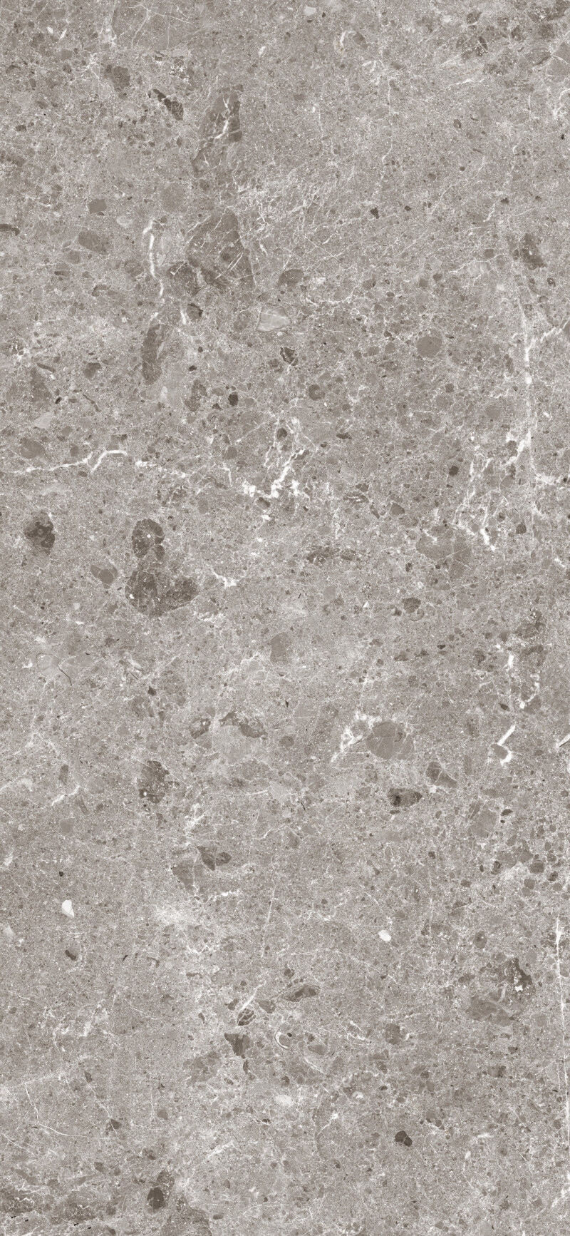ARTIC GRIS PULIDO 120X260