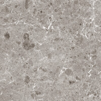 ARTIC GRIS PULIDO 120X260