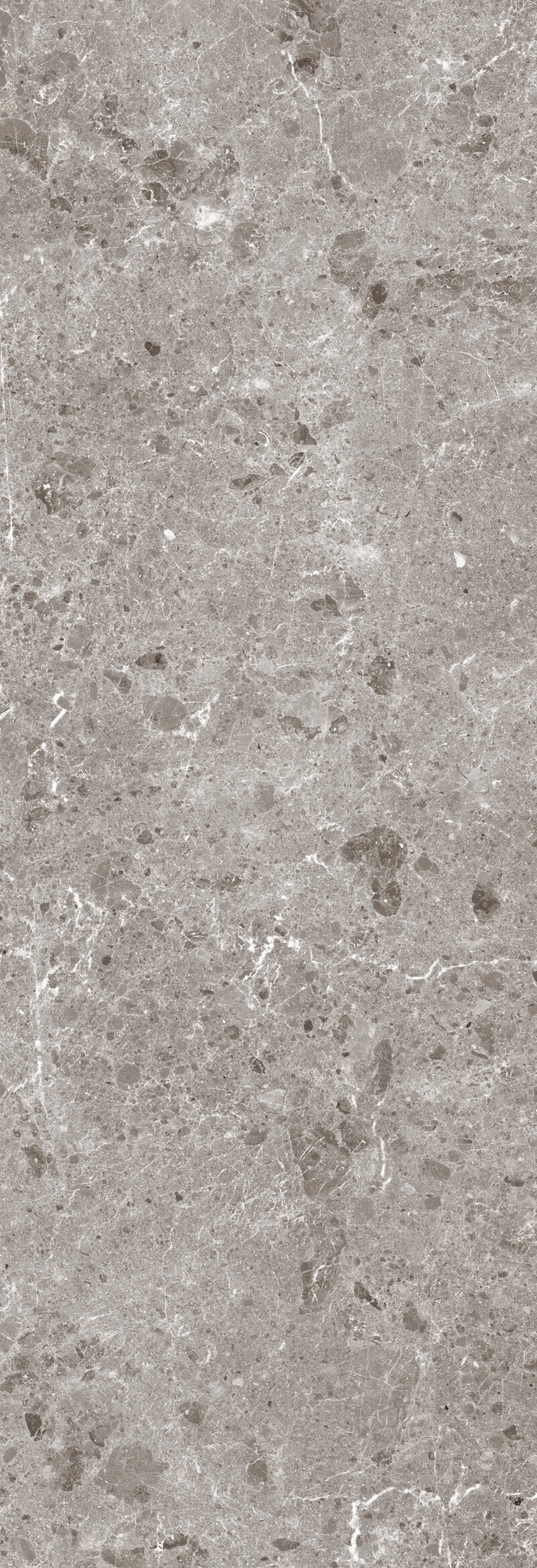 ARTIC GRIS PULIDO 120X360