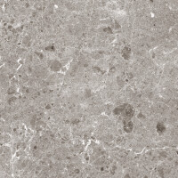 ARTIC GRIS PULIDO 120X360
