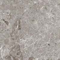 ARTIC GRIS PULIDO 60X120