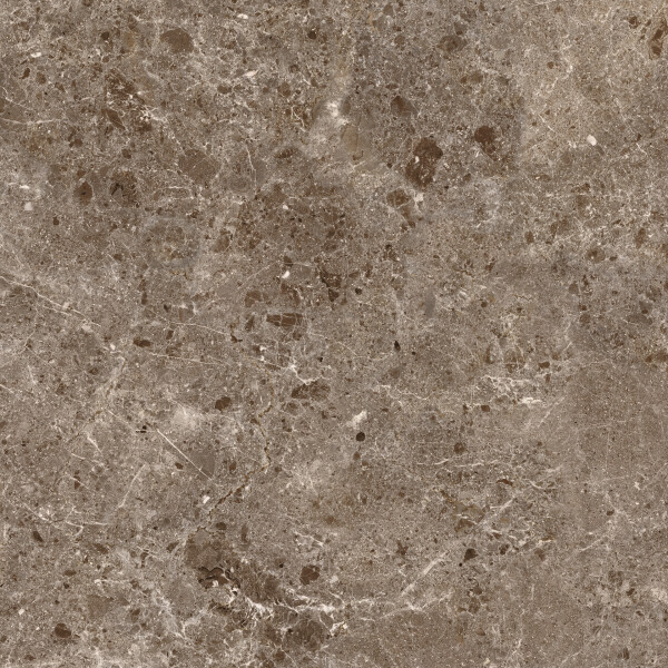 ARTIC MOKA PULIDO 120X120