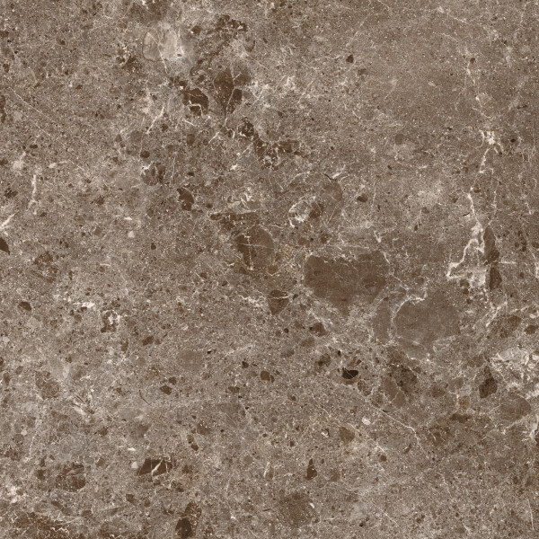 ARTIC MOKA PULIDO 120X260