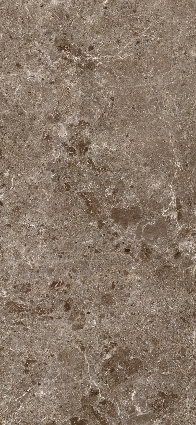 ARTIC MOKA PULIDO 120X260