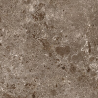 ARTIC MOKA PULIDO 120X260