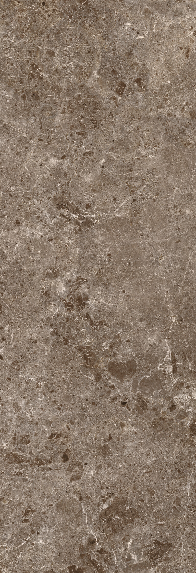 ARTIC MOKA PULIDO 120X360
