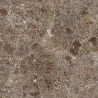 ARTIC MOKA PULIDO 60X120