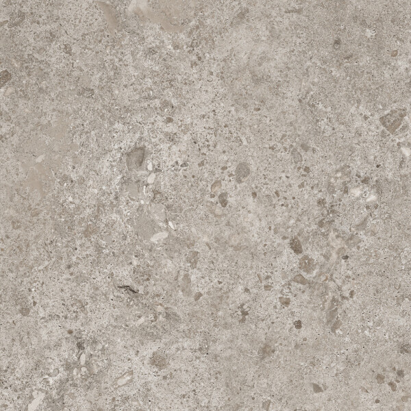 BIERZO GRIS SEDA 60X120