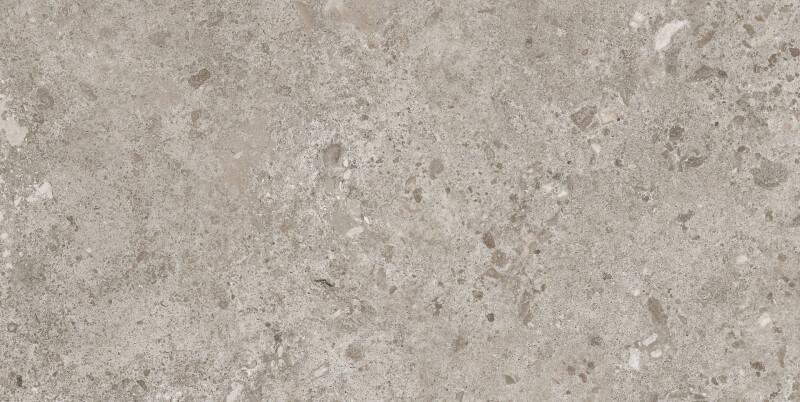 BIERZO GRIS SEDA 60X120