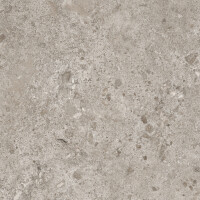 BIERZO GRIS SEDA 60X120