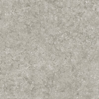 BLUE STONE GRIS NATURAL 120X260