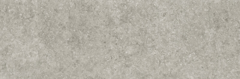 BLUE STONE GRIS NATURAL 120X360