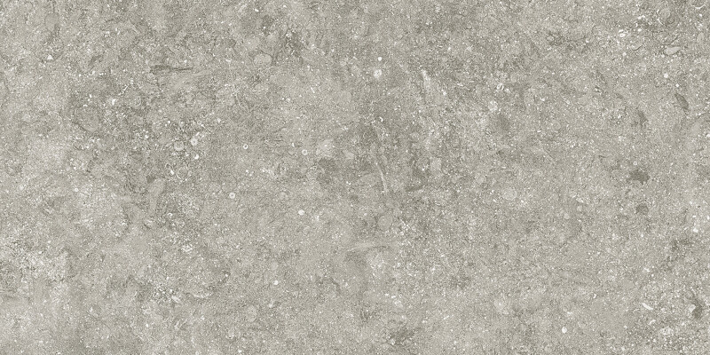 BLUE STONE GRIS NATURAL 60X120