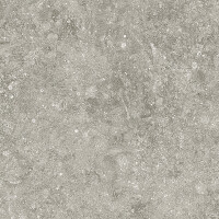 BLUE STONE GRIS NATURAL 60X120